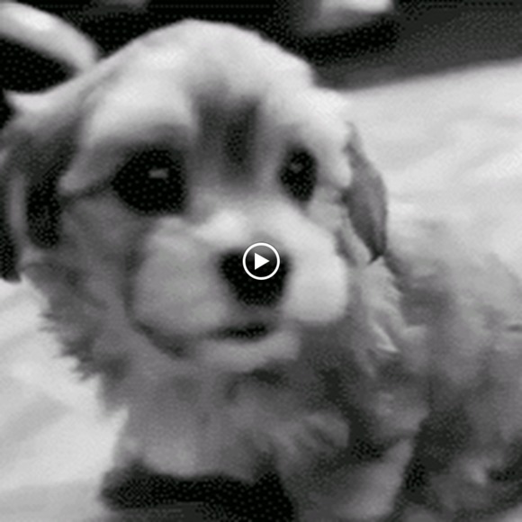 Meet your Posher, Stacyj - Picture 1 of 1